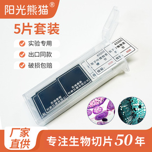 Biological Slices for Microscopes, Glass Slides, Plastic Boxes of 5 Pieces, New Edition of Middle School and Primary School Biology Textbooks