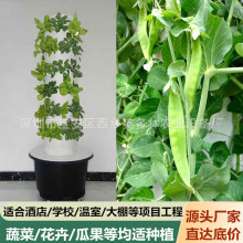 跨境气雾栽培系統水培设备无土栽培有机蔬菜花果立柱种植塔