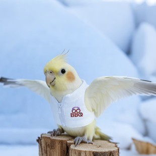 �W�^�����·���q��С�B���� �^����ů�·� ��Цը�ֿ���������