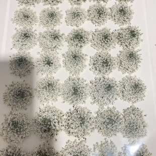 �ɻ��S�����l�ٽz��ѩ�黨���ǻ�Ѻ�����׸ɻ����z�֙C��ˇ�gѺ��