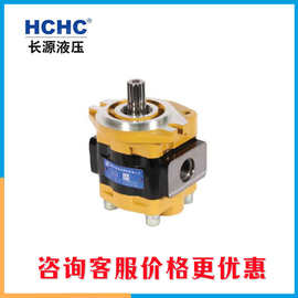 HCHC合肥长源CBKEC双模数齿轮油泵咨询客服价格更优惠齿轮泵