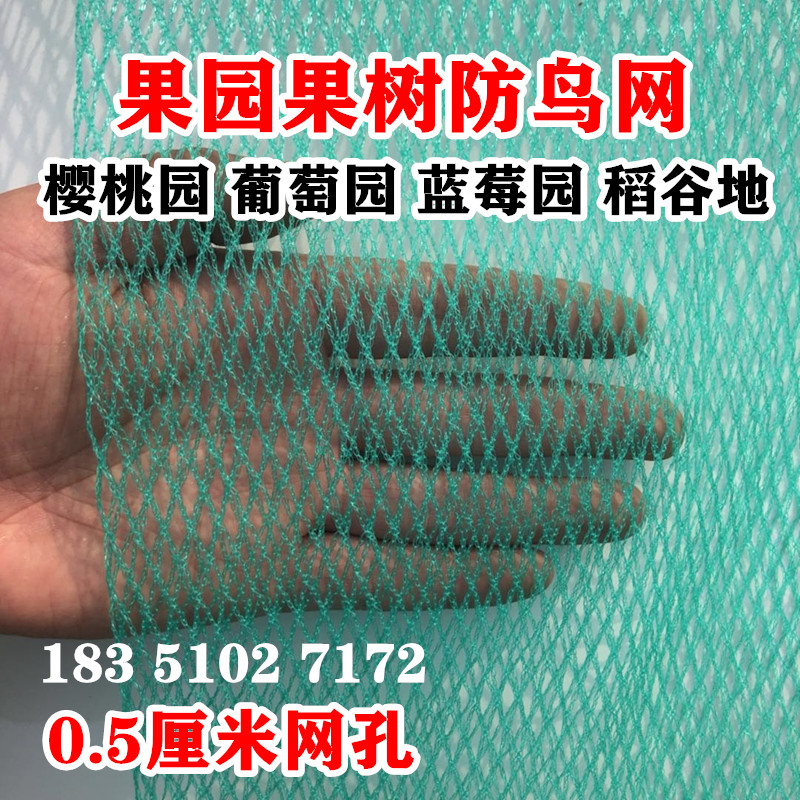 j8防鸟大棚樱桃葡萄养殖罩j8防g3果园防鸟网冰雹防鸟渔网网围网g3