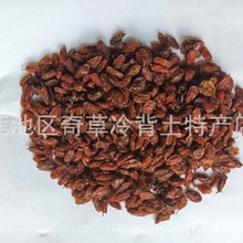 沙棘,沙枣,醋柳果,中药材胡颓子科植物中国沙棘和云南沙棘的果实