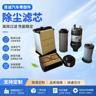 Air filter filter