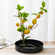 水盘圆形剑山插花器皿固定花道日式插花禅意塑料花盘中式圆盘