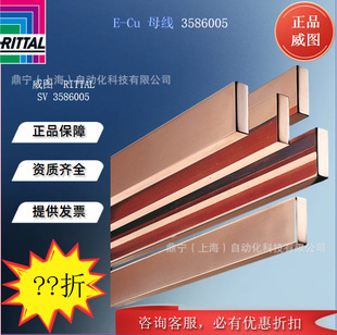 Rittal Cabinet Accessories Power Distribution Components SV3586005 Copper Control Cabinet Accessories Accessories