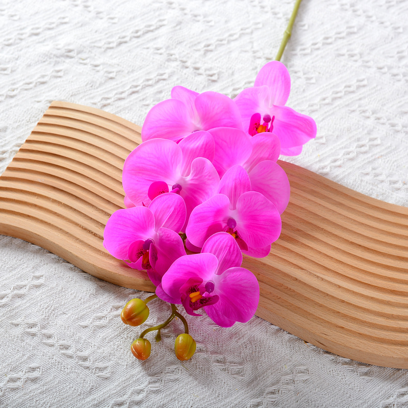 7 헤드 라이트 퍼플