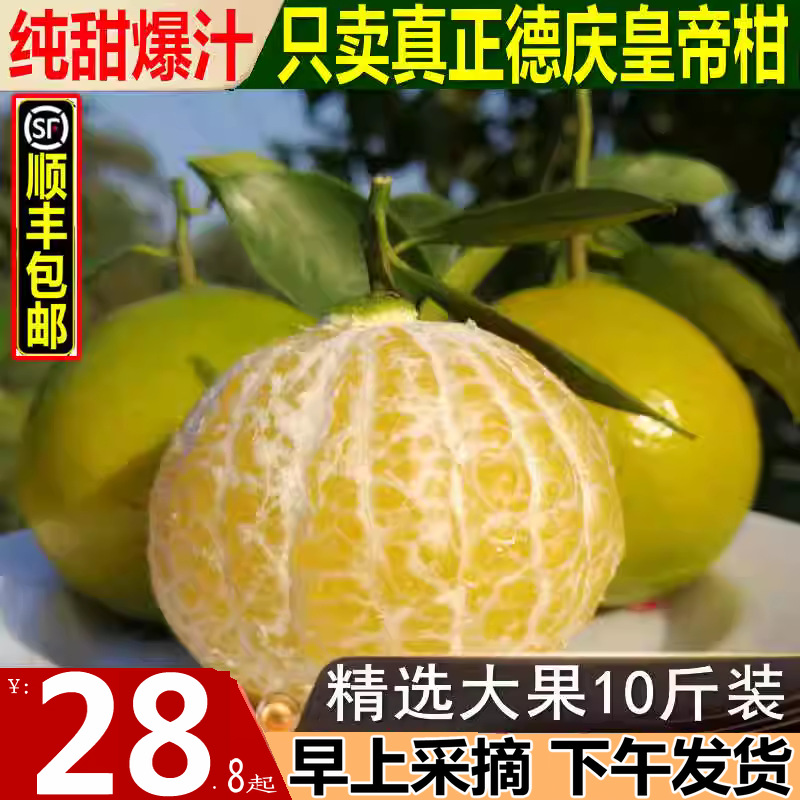 正宗德庆皇帝柑当季新鲜贡柑沃橘丑桔子爱媛水果整箱5/10斤装包邮