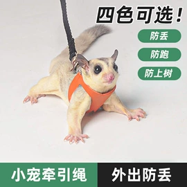 猫猫零食;猫猫玩具;猫猫窝/笼/垫