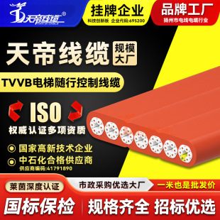 Tiandi TVVB elevator accompanying control cable plum blossom crane elevator crane crane flat cable