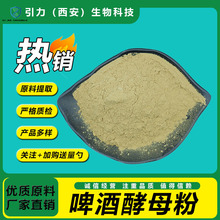 ơƽĸ99% ʳƷ ơȡ ﹩Ӧ ѿơ ĸ