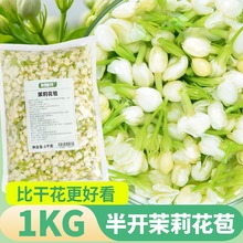 制糖师茉莉花蕾花苞茉莉茶 非干花 非鲜花 半开茉莉花朵1000克