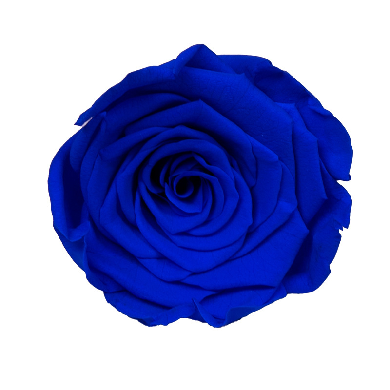 4-5cm 8 Flores, grado B DIY flores eternas, rosas eternas, Yunnan Kunming al por mayor, flores preservadas