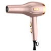 2200W(8983 Gold)