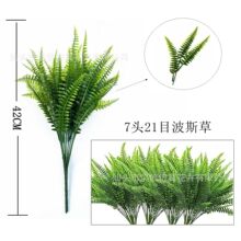 �羳7�^��˹�݁��R�d ���Ų� ���컨ާ�~ ֲ��b� �廨��