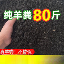 SlЙCʻ߲˹ϹüuSNBS