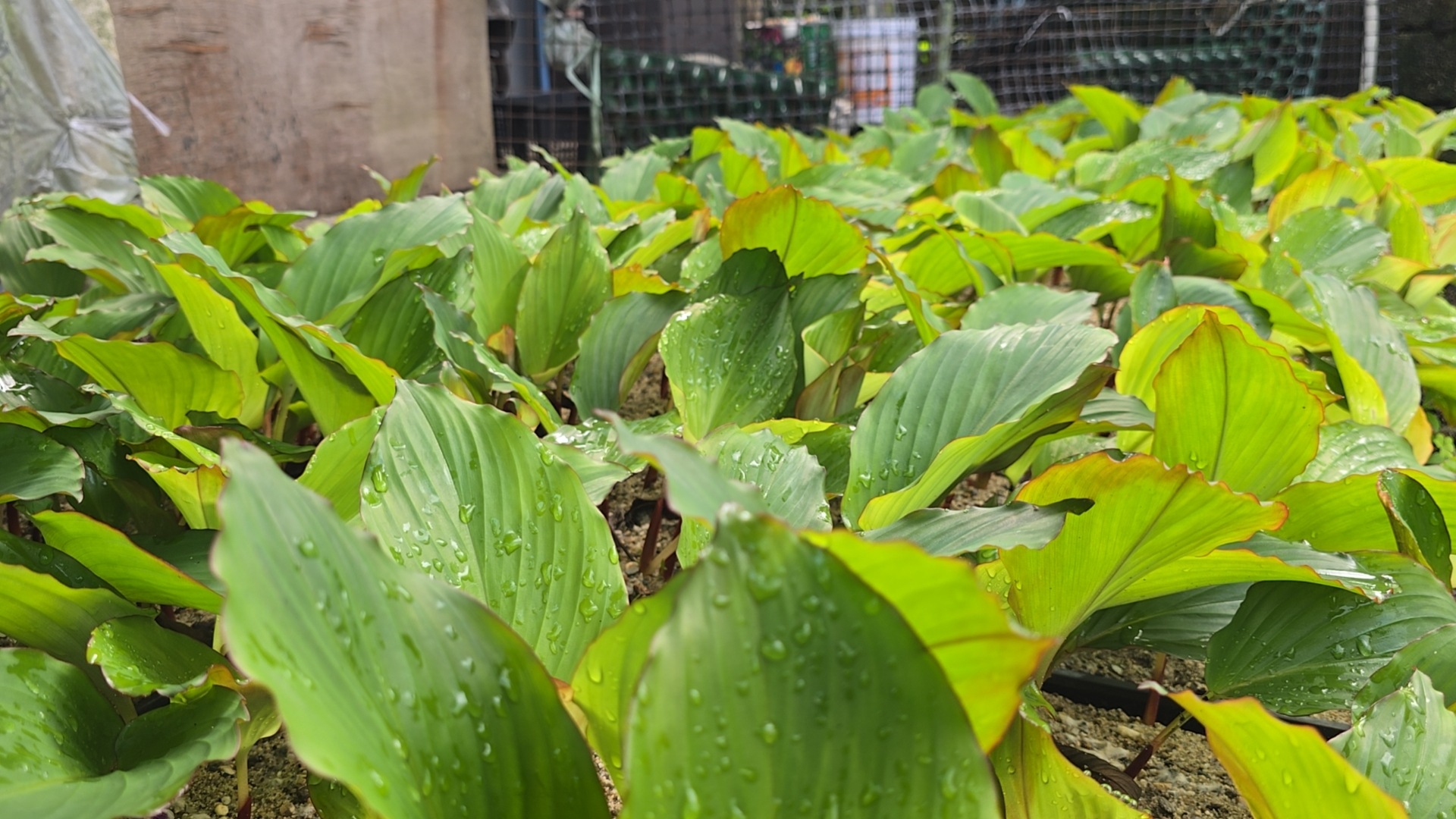 微信图片_20241226154232