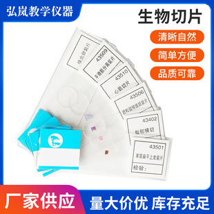 ������Ƭ���w�Ĵ�M�����˱���Ƭ�@΢�R�����ֲ�：���bƬ