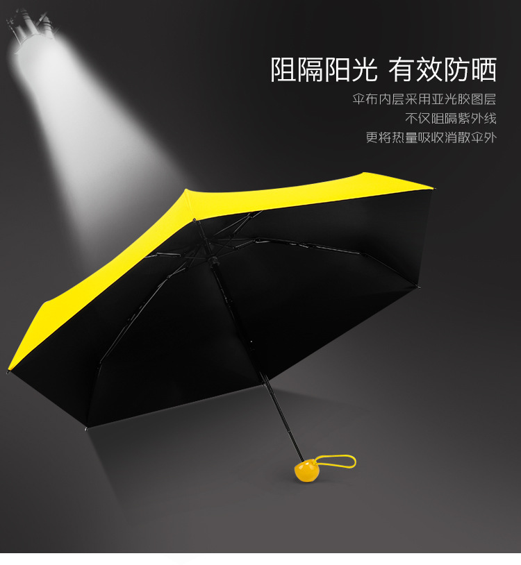 产品描述5