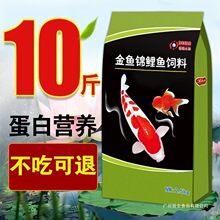 �\���~��Ͻ��~�~ʳ�~��С�w���^�p�~ͨ���\����ό����~�ZС���~