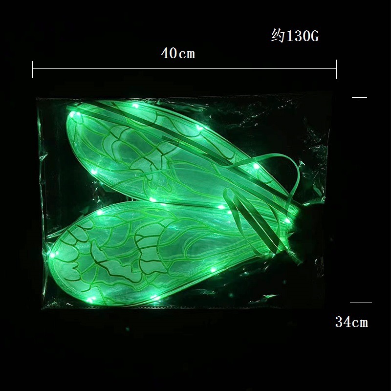 发光蜻蜓翅膀 (3).jpg