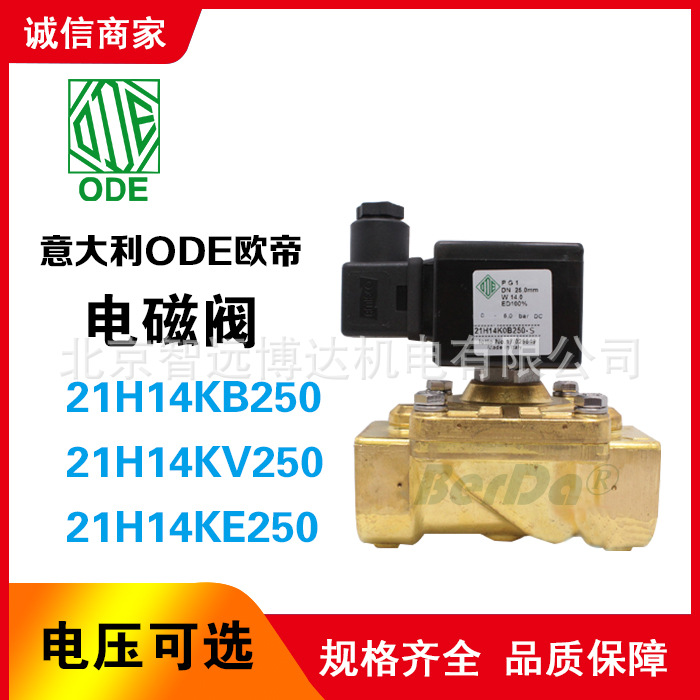 21H14KB250 21H14KV250 21H14KE250 电磁阀 ODE电磁阀 阀门