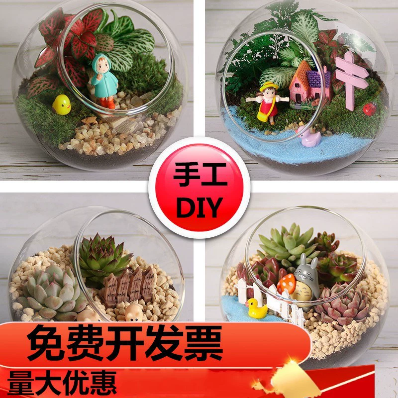 Теплая деятельность мха микро-пейзаж diy материал пакет экологическая бутылка ручной работы мясистый зеленый горшечный подарочный набор