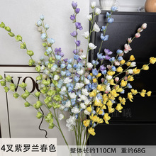 4�����_�m��ɫ���滨��c������Ȼϵ��Y���l�b����յ��߼ٻ�