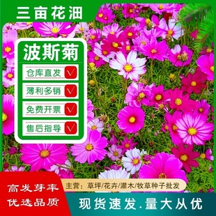 ��˹�հ��վ�̫ꖻ����տ�����M����޹�²�������������С���b