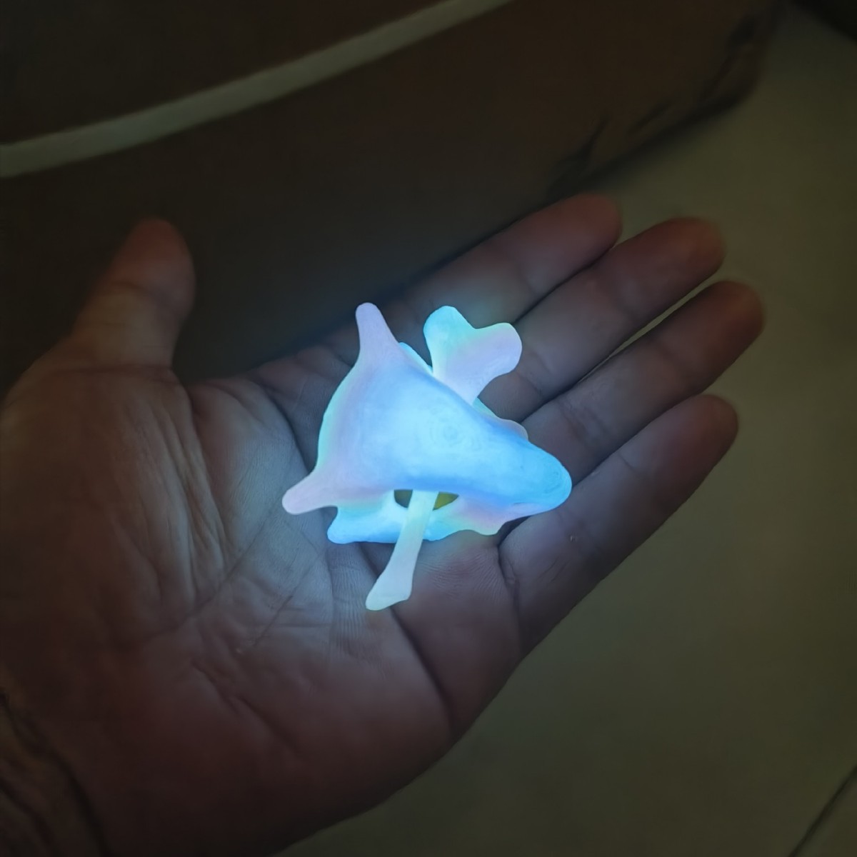 빛나는 컬러풀 - 카라 머리핀