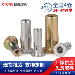メーカー卸売りステンレス亜鉛メッキ提灯リベットナット溝入れ304花びら膨張ねじ開花ナットスポット
