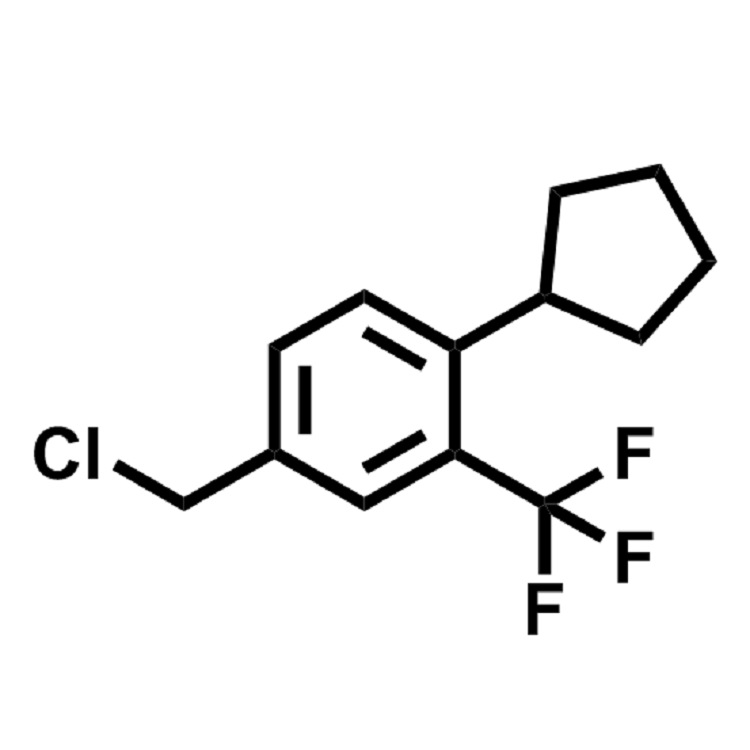 4-氯甲基-1-环戊基-2-三氟甲基苯  CAS:957208-65-0  98%  现货