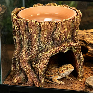 ����ˮ�����֭h���،m���������x�C�䶴�䘶�����B���쾰ʳ����
