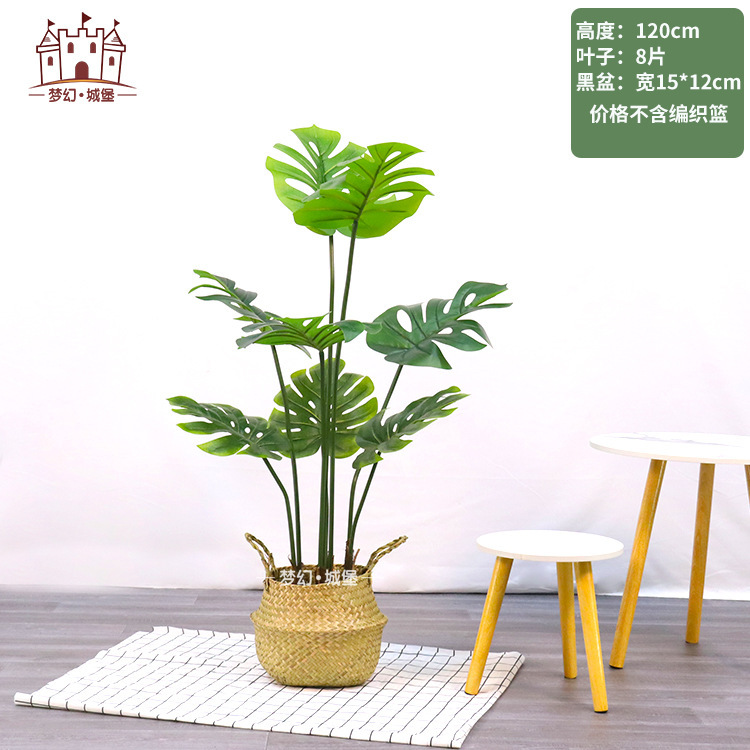 Simulación de plantación verde de plátano de bambú de tortuga grande planta de plantación de ventana interior diseño de ángulo de planta de árbol falso paisajístico