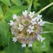 ǻ݆ջNļ̨L܇ᘉ|ͺͥԺԷN