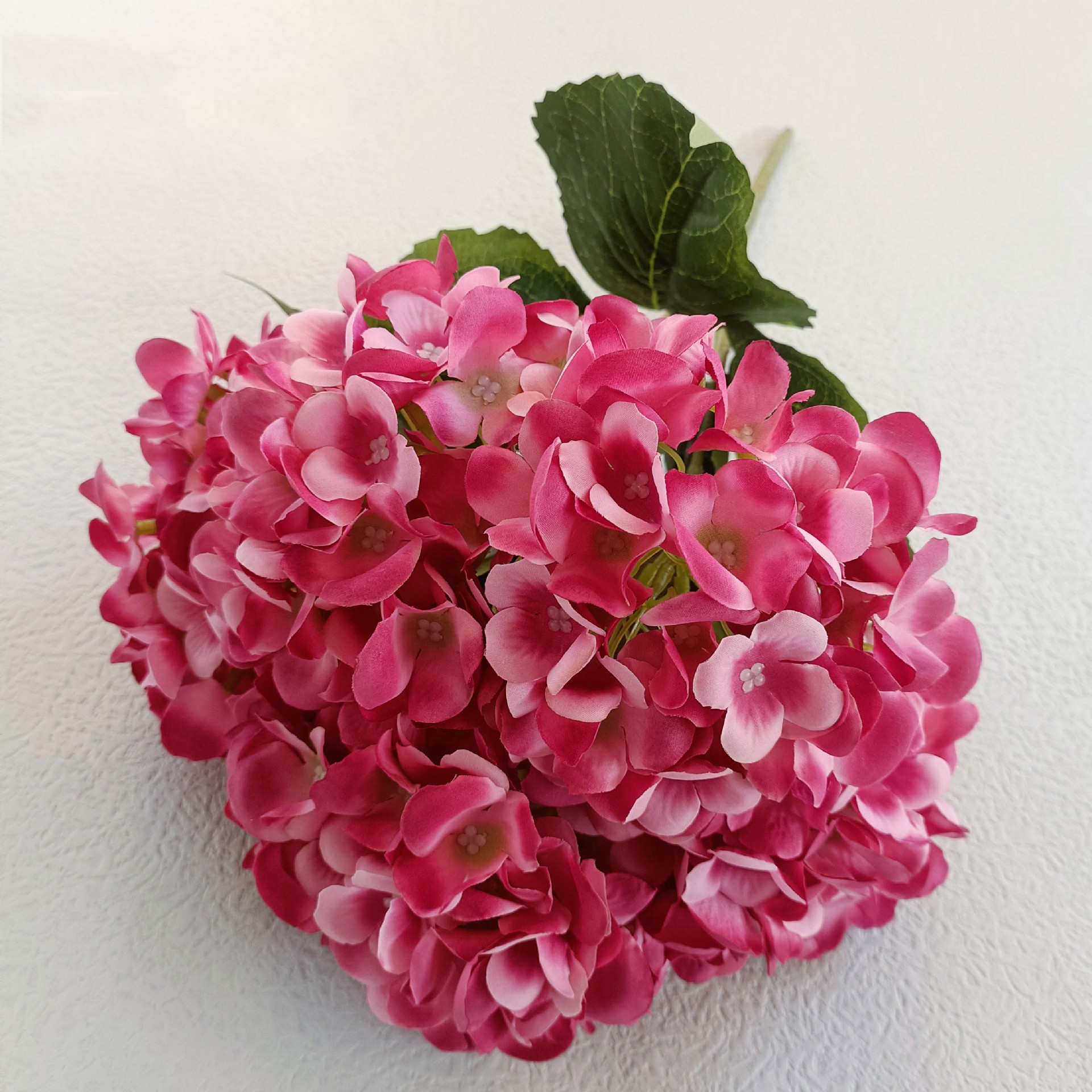 50bf9baa1637a8afe780189a8526b0