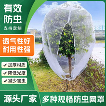 跨境植物束口果树植物防鸟网 花园网 防虫网片 蔬菜覆盖网防虫罩