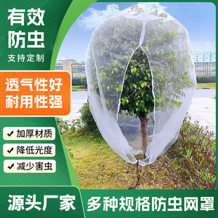 �羳ֲ�����ڹ���ֲ����B�W ���@�W ���x�WƬ �߲˸��w�W���x��