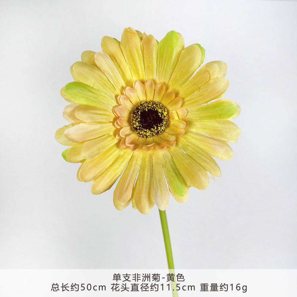 XGX-单支非洲菊-黄色