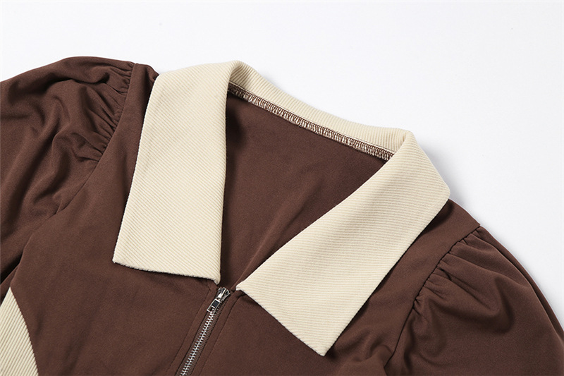 Zipper Contrast Color Lapel Long-Sleeved Waist Slim Commuting Dress NSSS108065