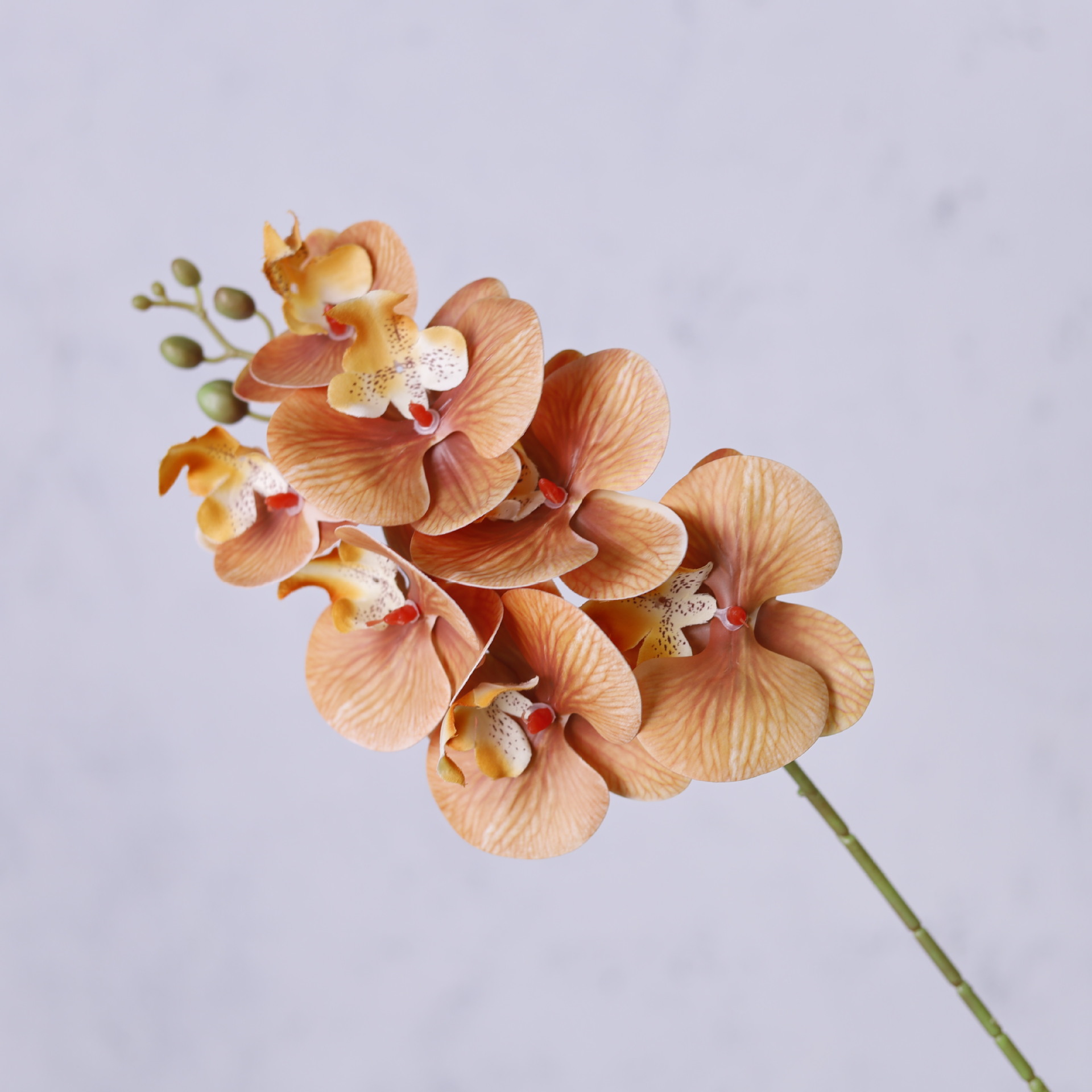 Impresión 3D de 7 cabezas de orquídeas mariposa flor de decoración de flores de alto nivel flor de nicho decoración floral decoración de sala de estar