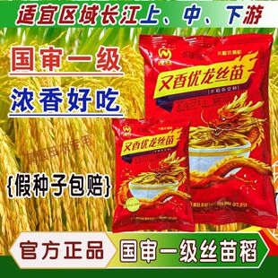 ���マ���z���L����һ�����|���s��ˮ���N�Ӄ��|�����ܛ�ɿ�