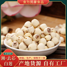 贡莲皇湘去芯白莲现采现摘白莲干货批发500g去芯磨皮白莲子肉
