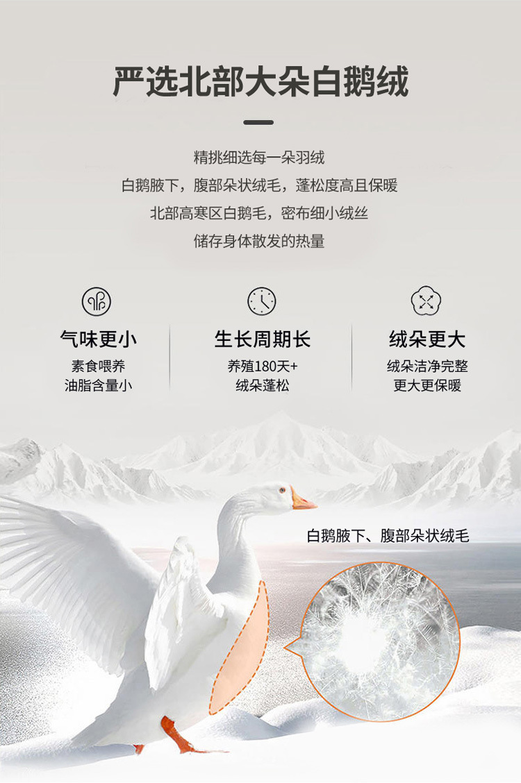 image1662646200268544.jpg O1CN01t5zxeC1NcjBOqW883_!!2219471961591-0-cib.jpg