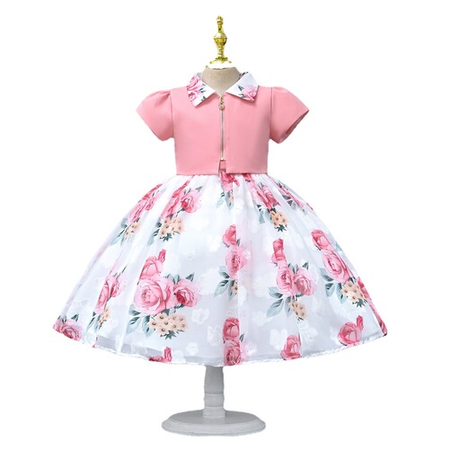 Children's Skirts Summer 2024 Cross-border Children's Clothing Stylish Girls Princess Skirts Short-sleeve Printed Girls' Dresses Wholesale