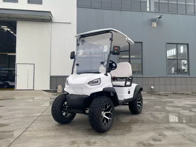 Electric Golf Carts for Export, 4-Seater and 6-Seater, Hotel and Airport Shuttles, Tourist Site Transport Vehicles (Elektrikli qolf avtomobilləri) - 1-row-2-seats-golf-cart