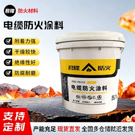 耐火防火材料;防火涂料;隔热服