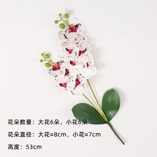 �S��ֱ�N�ش��p��12�^�����m�ɻ��͏d�[��������c��Ʒ���ŷ��滨