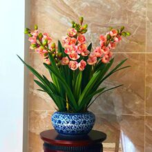 ���ܴ�ȫ  �m������ һ�U�໨�ļ��_���������ԾGֲ