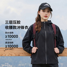 新女款单层冲锋衣25年春秋季防风防水轻量化收腰透气外套可印logo